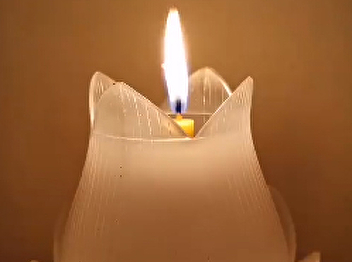 Candle Light Procession Ceremony Online
with OAC