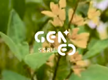 สำนักวิชาการศึกษาทั่วไปฯ (GENED)
มหาวิทยาลัยราชภัฏสวนสุนันทา ส่งคลิป
TikTok
ร่วมรณรงค์ส่งเสริมการแต่งกายด้วยผ้าไทย