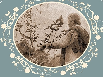 与公主殿下赛萨瓦利·比罗姆 (Sai Savali Bhirom)
相关的历史轶事，克罗姆·帕·苏塔西尼纳特·皮亚马哈拉杰帕迪瓦拉达 (Krom
Phra Sutthasininat
Piyamaharajpadiwarada)：公主殿下侍女的水彩肖像（第 6/7
部分）